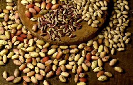 Pistacchi