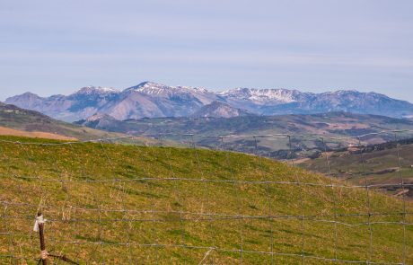 Madonie