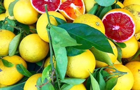 Arance rosse - ph. Bruno Munzone