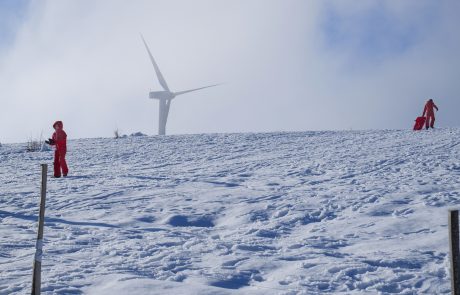 floresta messina neve