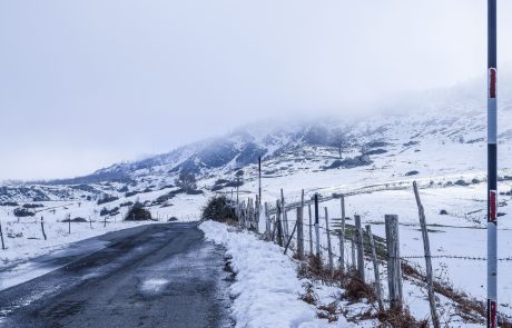 floresta messina neve