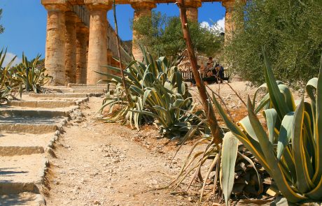 Parco archeologico Segesta - Tempio di Zeus