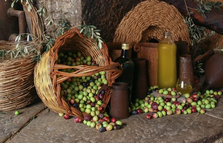 Nebrodi-cesto di olive