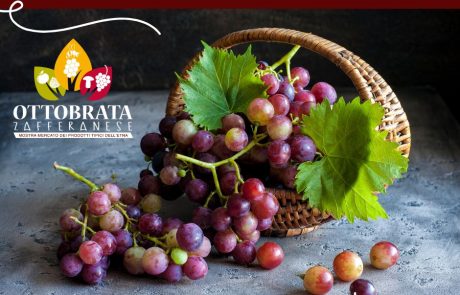 Ottobrata Zafferanese Sagra dell'Uva